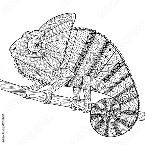 Chameleon. Adult antistress coloring page. Black and white hand drawn doodle for coloring book