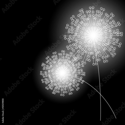 Abstract flowers silhouette. Vector illustration