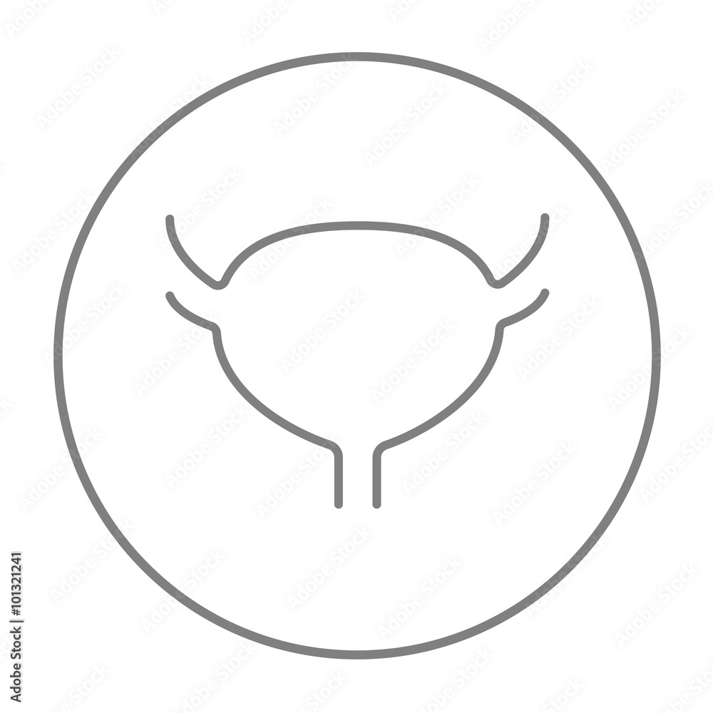 Urinary bladder line icon. Urinary bladder line icon.