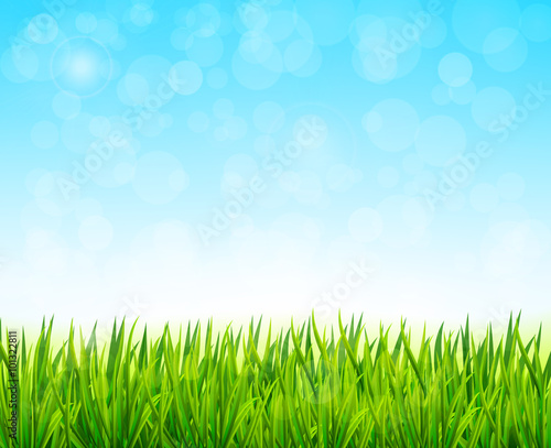 nature background vector