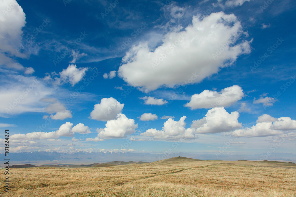 The alpine steppe in the mountains of central Asia The alpine steppe in the mountains of central Asia