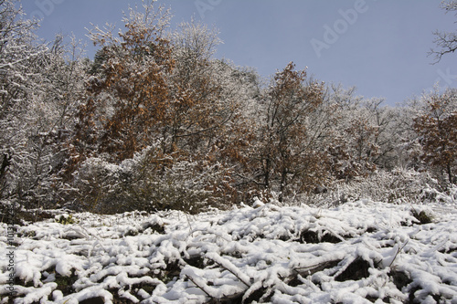 gölde yansıma

 photo