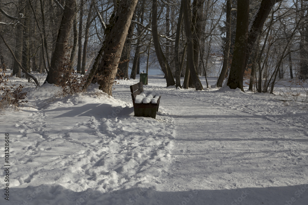 A bench in a winter scene along a walk way A bench in a winter scene along a walk way