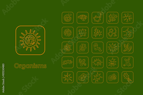 Set of organisms simple icons