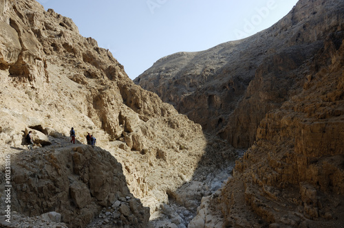 Judea desert canyon Og landscape.