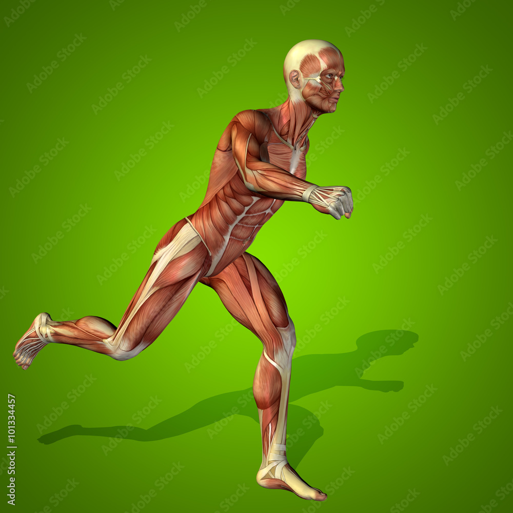 Conceptual 3D human man health anatomy Conceptual 3D human man health anatomy