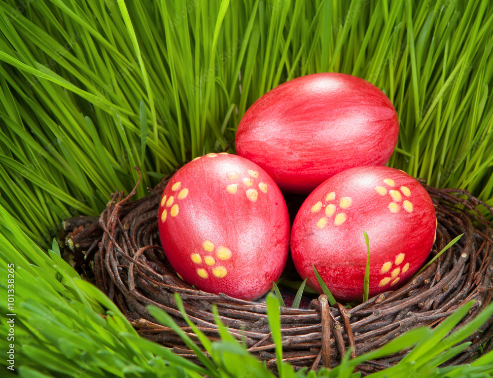 eggs and nest on green grass. easter concept eggs and nest on green grass. easter concept