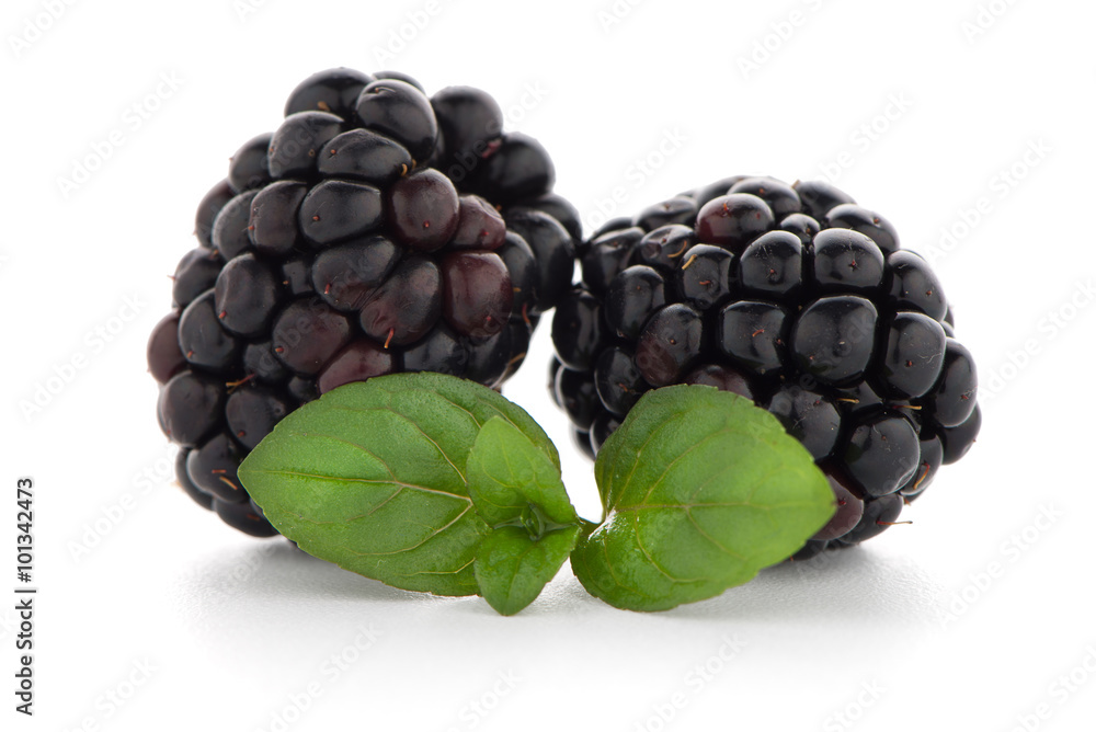 Blackberries with leaves Blackberries with leaves