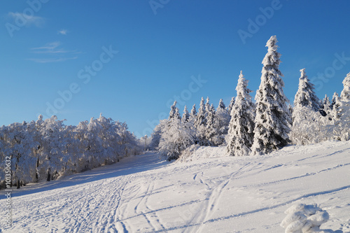 Wallpaper Mural Snowy mountain landscape Torontodigital.ca