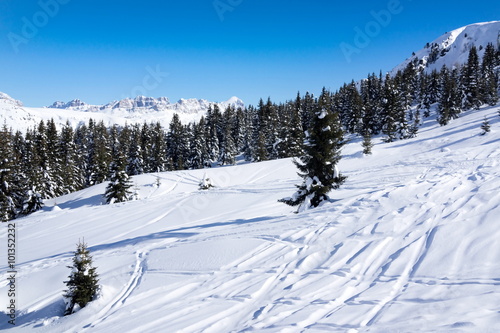 Ski resort Val Gardena, Italy © yusev