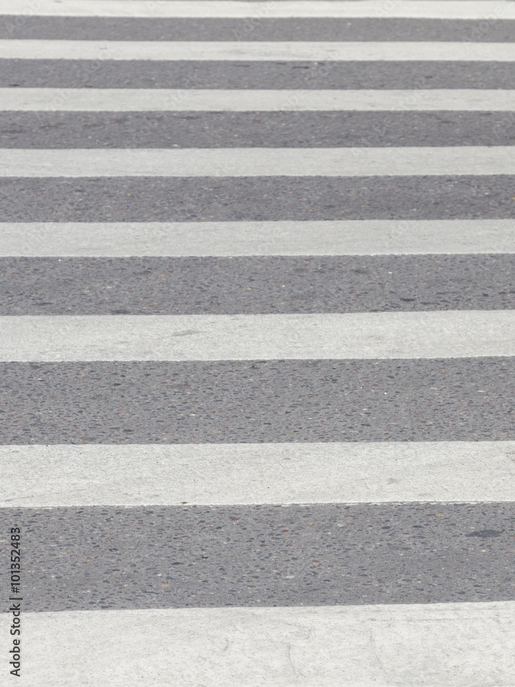 zebra pedestrian crossing on the road - obrazy, fototapety, plakaty 