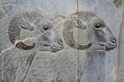 IRAN Persepolis: Goats