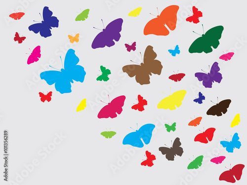 Beautiful butterflies flying around background