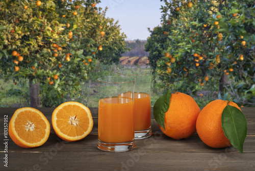 Orange juice photo