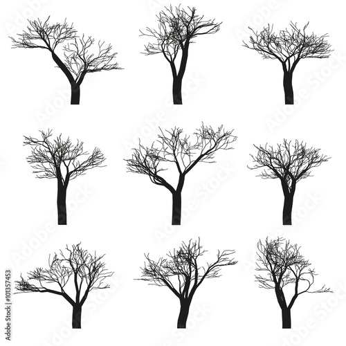 Trees set illustration