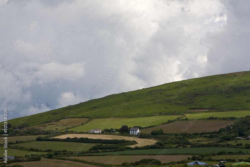 Farmland on the Gower Peninsular.  Sheep are grazing, fields are being prepared for sowing and wheat has been harvested all tied together with the white farm house to form a patchwork pattern.