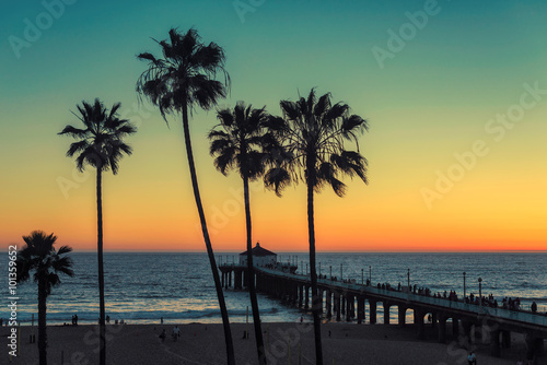 Palm trees at Manhattan Beach. Vintage post processed. Fashion, travel, summer, vacation and tropical beach concept.