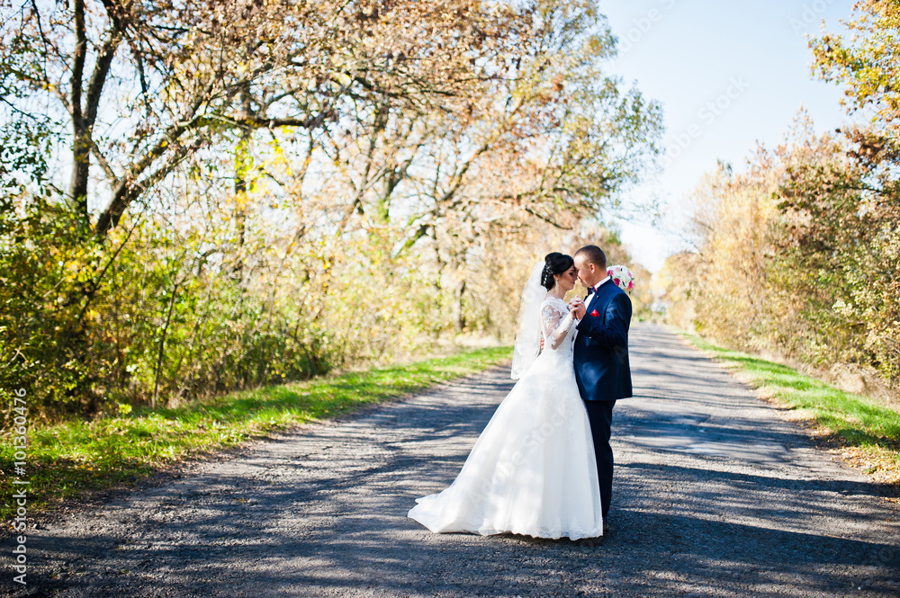 Wedding couple on the road background sunny day with yellow leav Wedding couple on the road background sunny day with yellow leav
