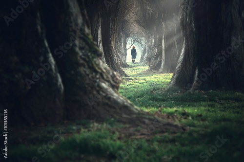 Woman walking in a mystic forest photo