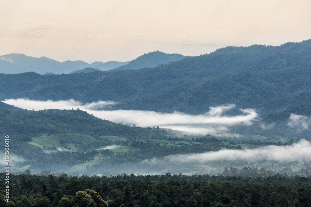 Fog Over Green Mountains