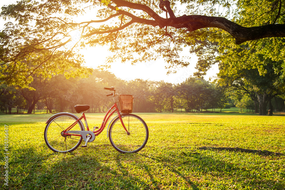 Fototapeta premium red bicycle in green park