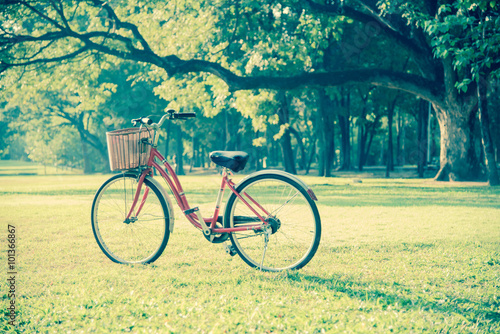 red bicycle in green park