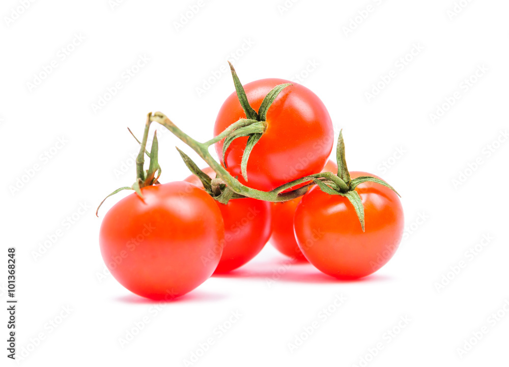 The cherry tomatoes on a branch