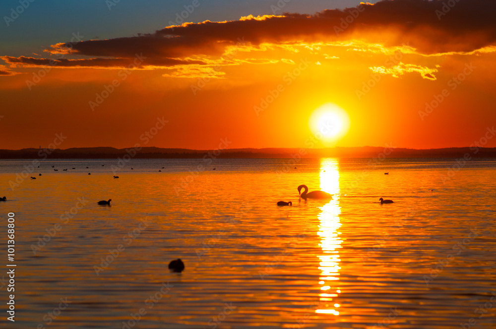 Sole rosso Sole rosso