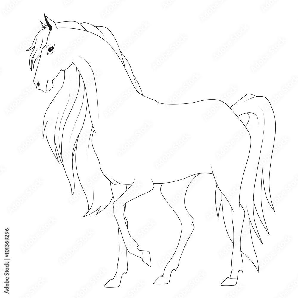 Coloring book: horse