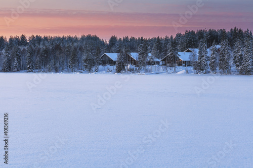 Wallpaper Mural Sunset over a forest in Finland Torontodigital.ca