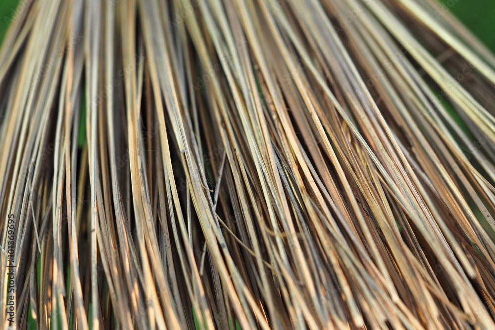 Obraz premium Broom Broomsticks closeup