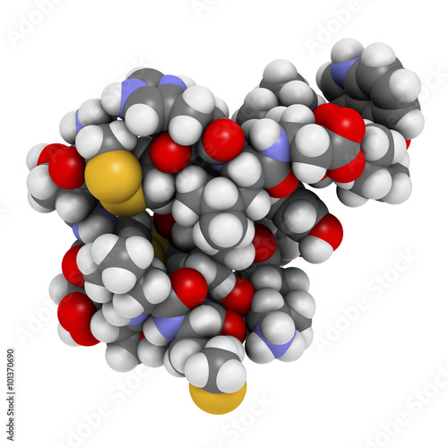 Endothelin 1 (ET-1) vasoconstrictory peptide molecule. photo