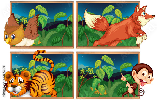 Four forest scenes with wild animals