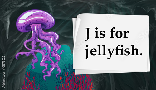 Letter J is for jellyfish