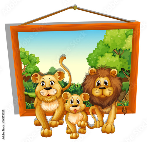 Photo frame of lion family