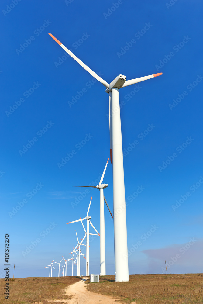 Group of windmills for renewable electric energy Group of windmills for renewable electric energy