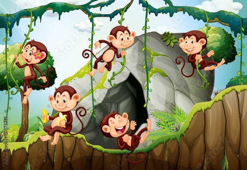 Five monkeys living in the forest
