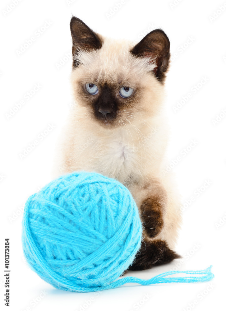 Cat with ball of yarn
