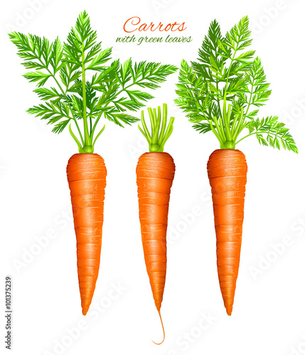 Leinwand Poster Carrots with leaves