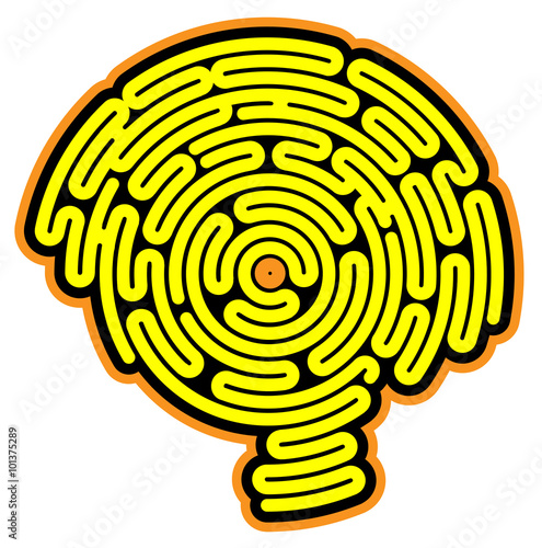 Cervello a forma di labirinto