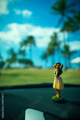 Figur einer Hula Tänzerin für das Auto mit Palmenhintergrund