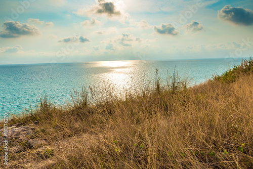 The meadow and the sea.