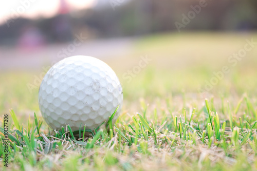 Golf ball on field in the afternoon