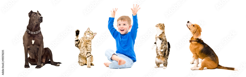 Group of a cheerful kid and pets 