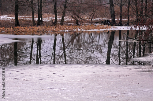 Fototapeta Naklejka Na Ścianę i Meble -  The melting of the ice on forest lake in early spring