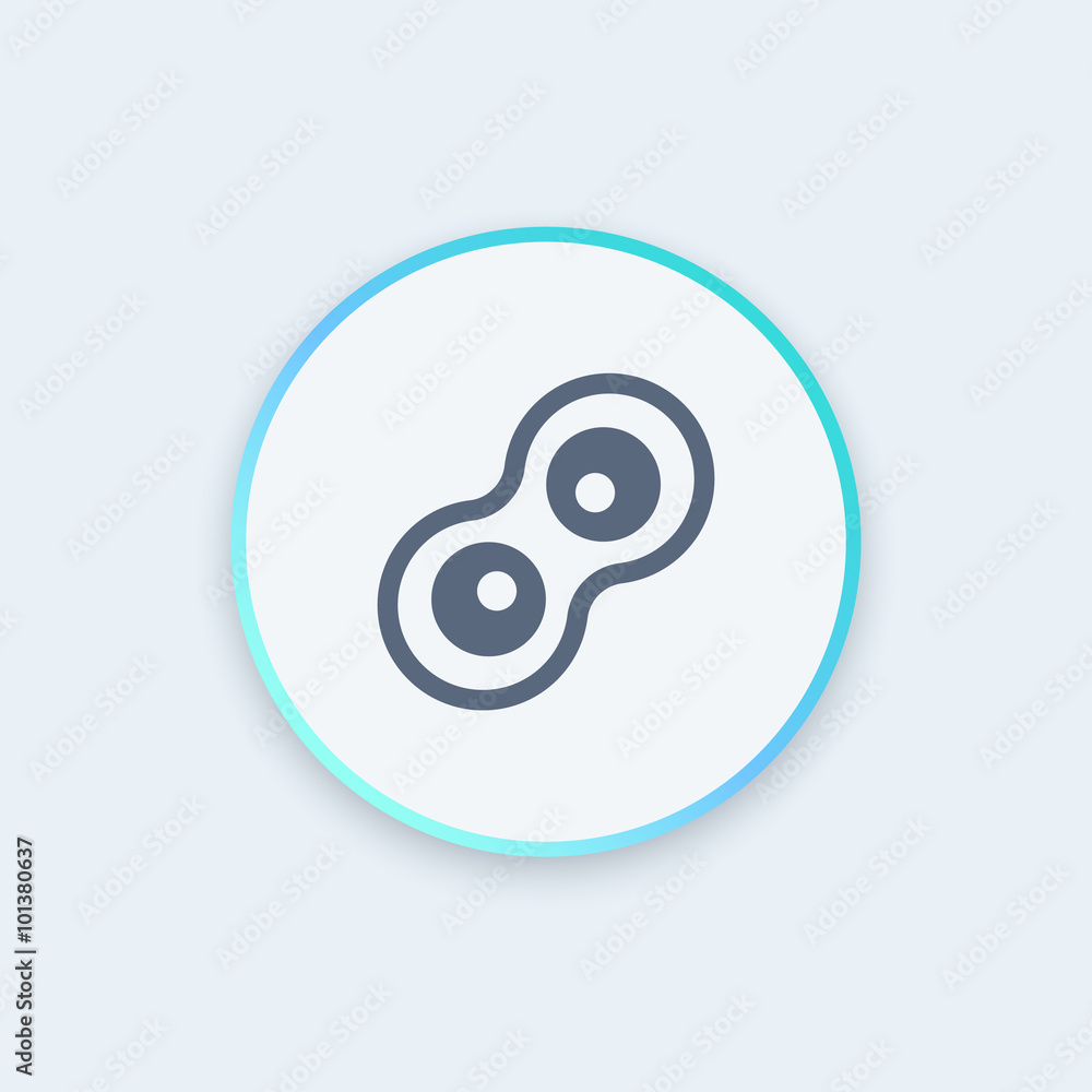 Cell division round stylish icon, vector illustration Cell division round stylish icon, vector illustration
