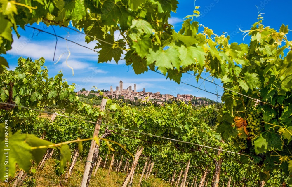 Medieval town of San Gimignano with vineyards, Tuscany, Italy
