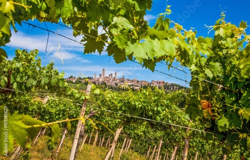 Obraz na płótnie Medieval town of San Gimignano with vineyards, Tuscany, Italy w salonie