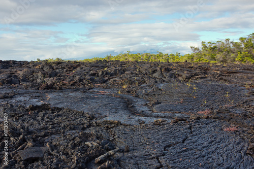 Obraz na płótnie Ropy pahoehoe lava flow on Isabela.