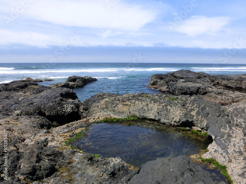 Tide pool on rocks near California Pacific ocean - landscape photo